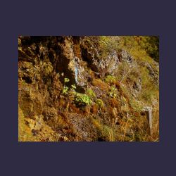 2012-10-20_Fall_AQUILA (092)b.JPG